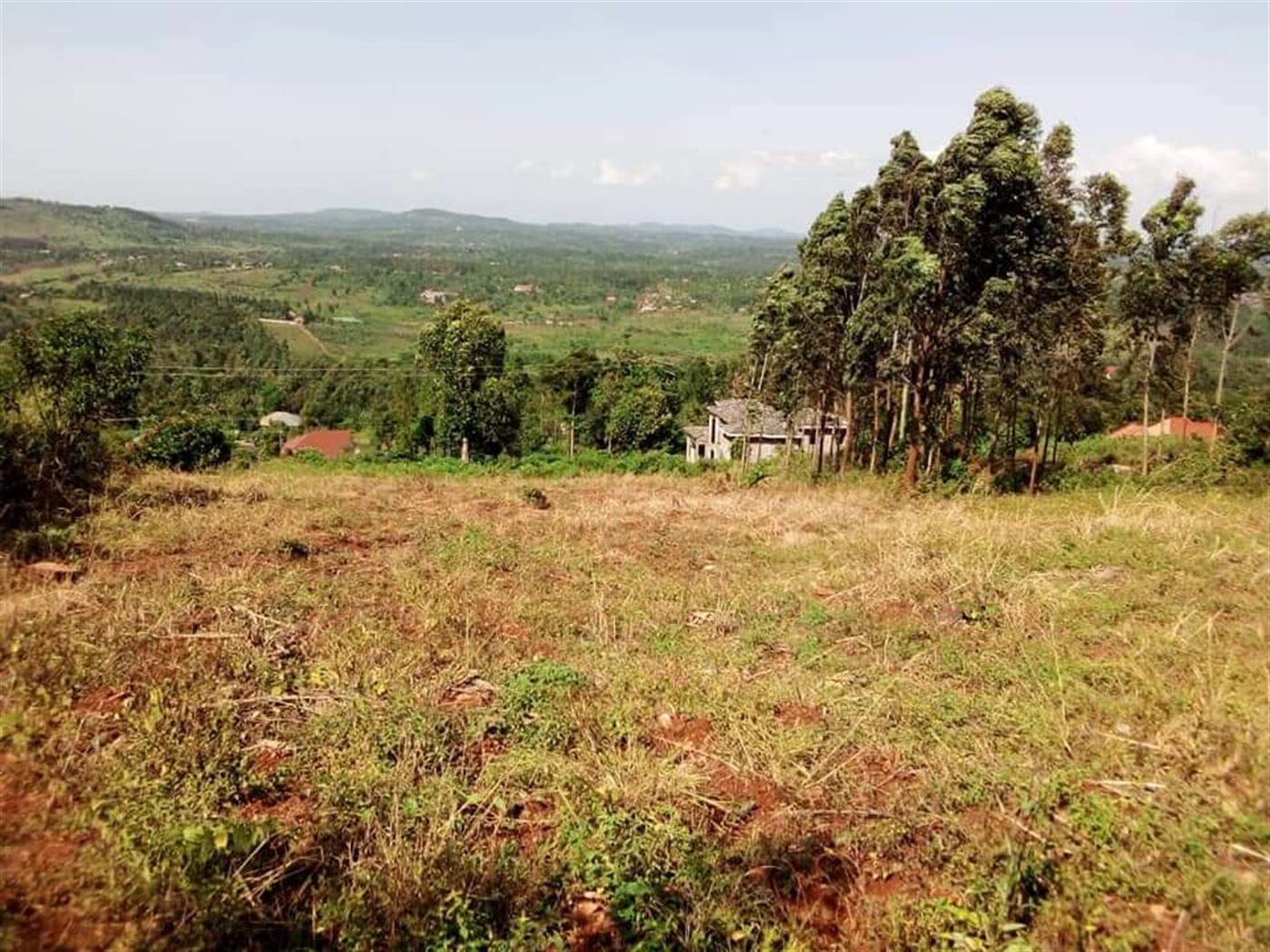 Residential Land for sale in Mbalala Mukono