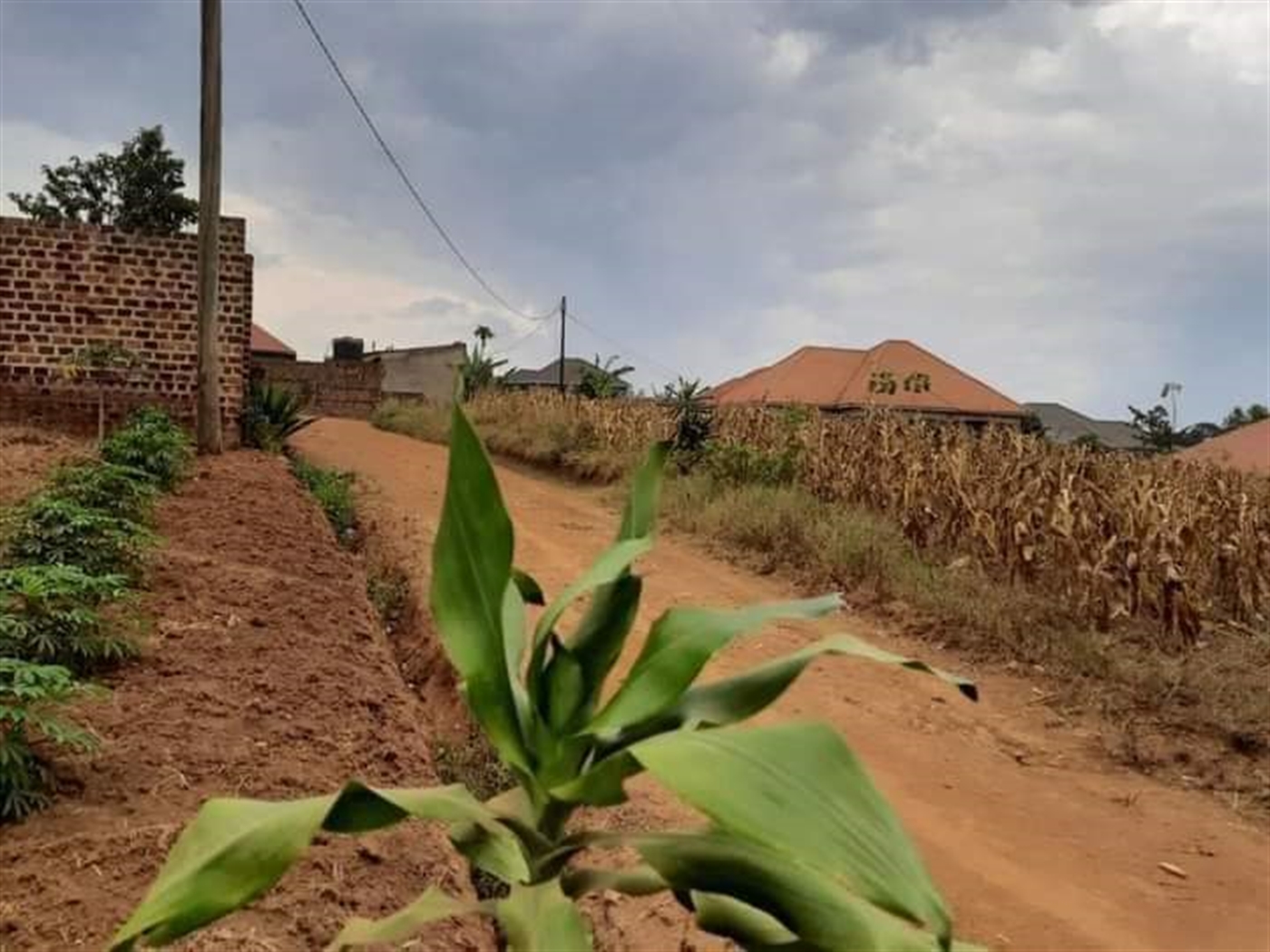 Residential Land for sale in Namugongo Wakiso