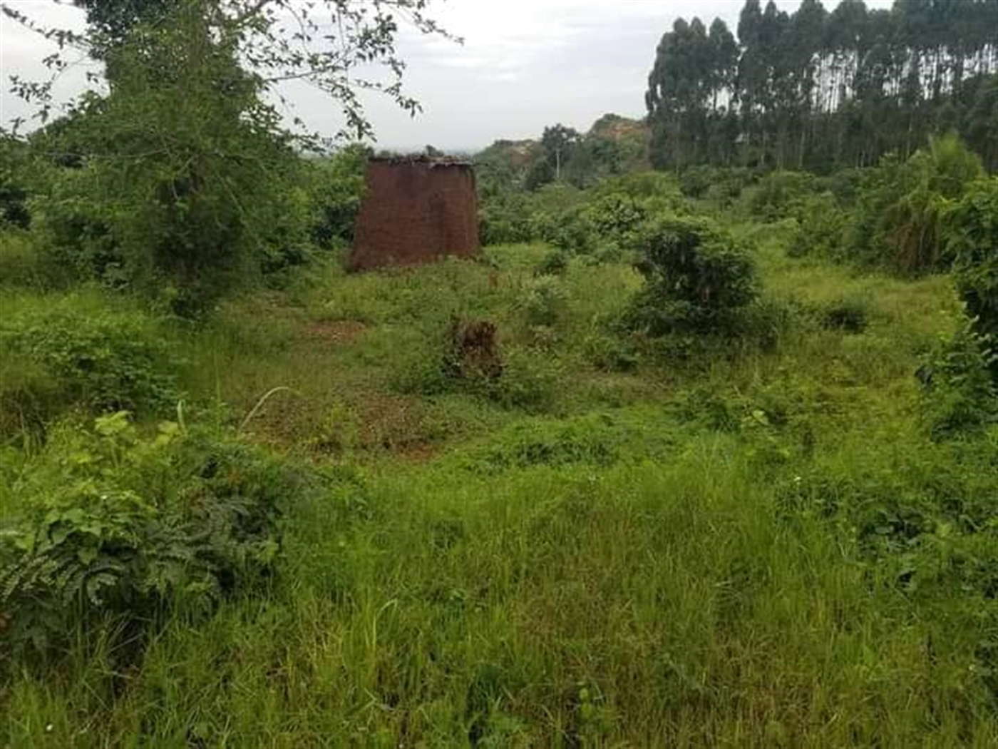 Residential Land for sale in Nalagala Wakiso