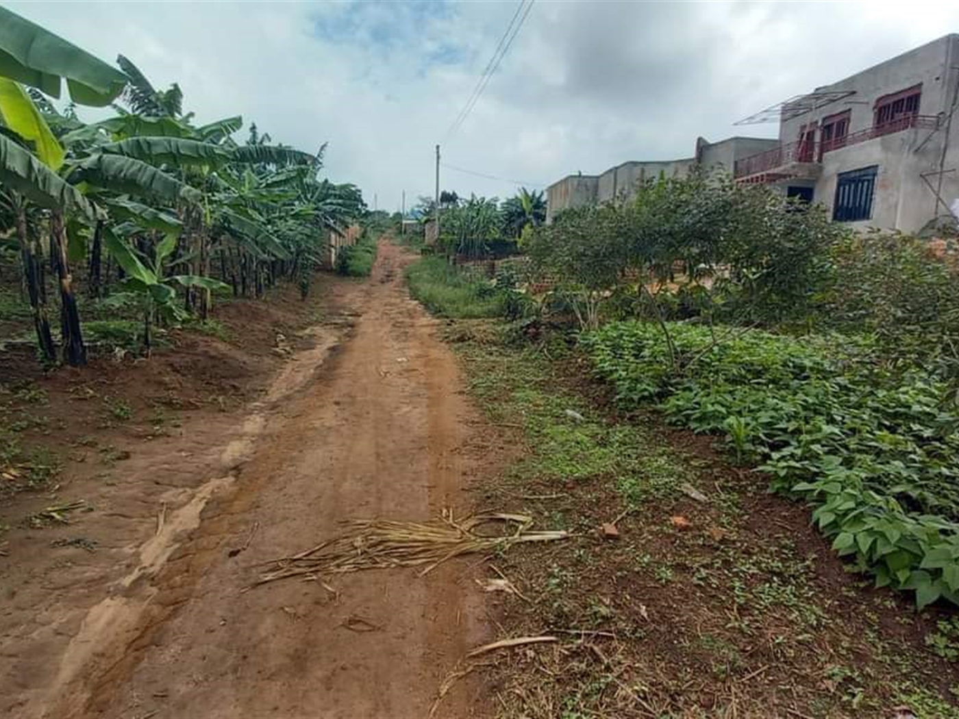 Residential Land for sale in Gayaza Wakiso