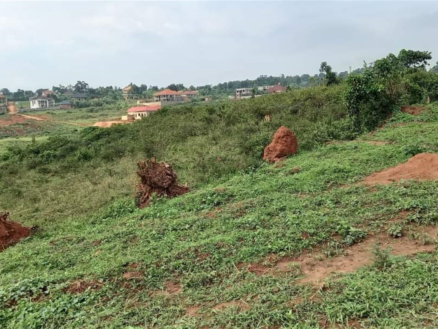 Residential Land for sale in Gayaza Wakiso