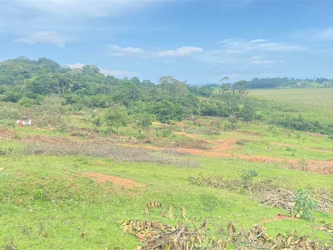 Residential Land for sale in Namugongo Wakiso