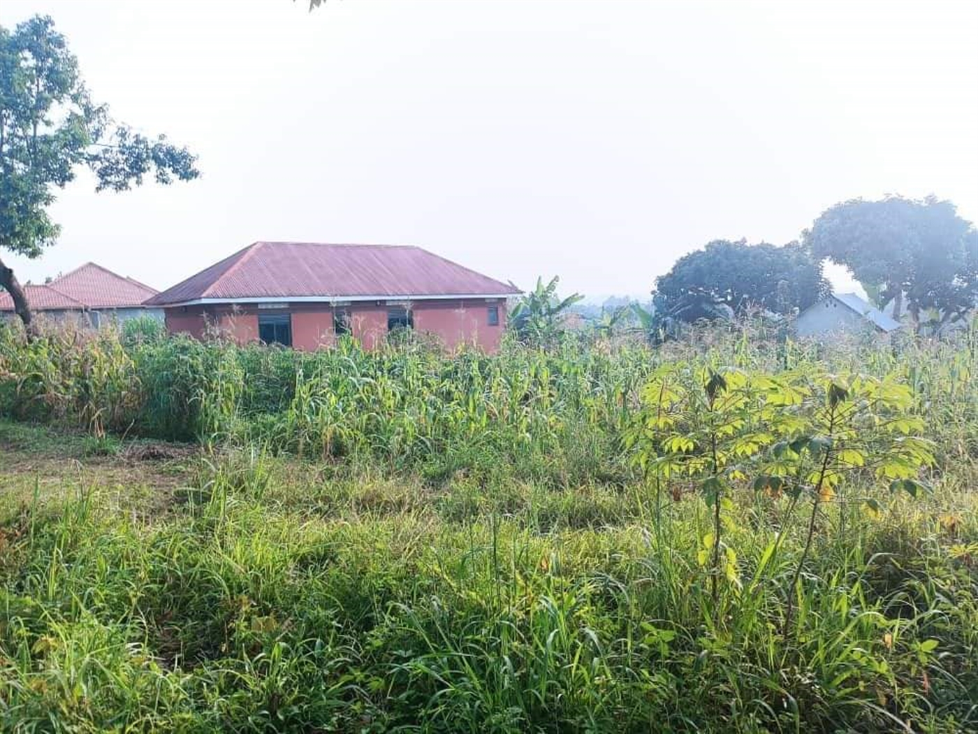 Residential Land for sale in Namugongo Wakiso