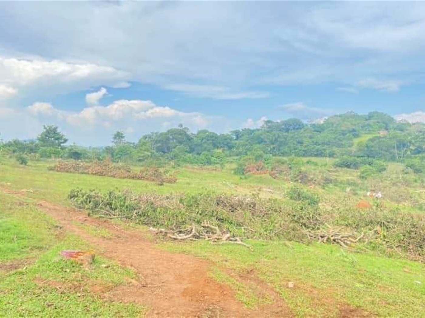 Agricultural Land for sale in Nabbuti Mukono