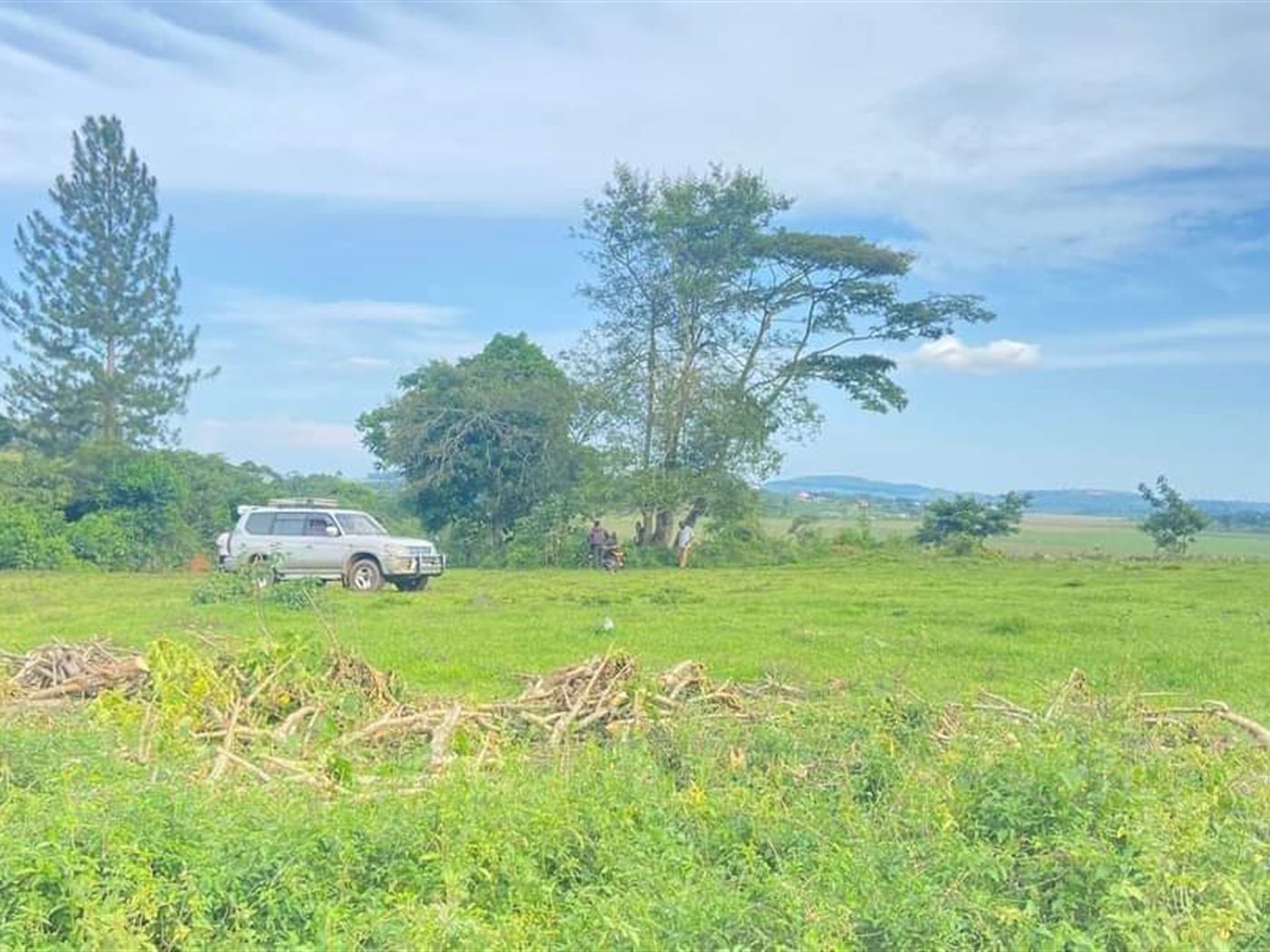 Agricultural Land for sale in Nabbuti Mukono