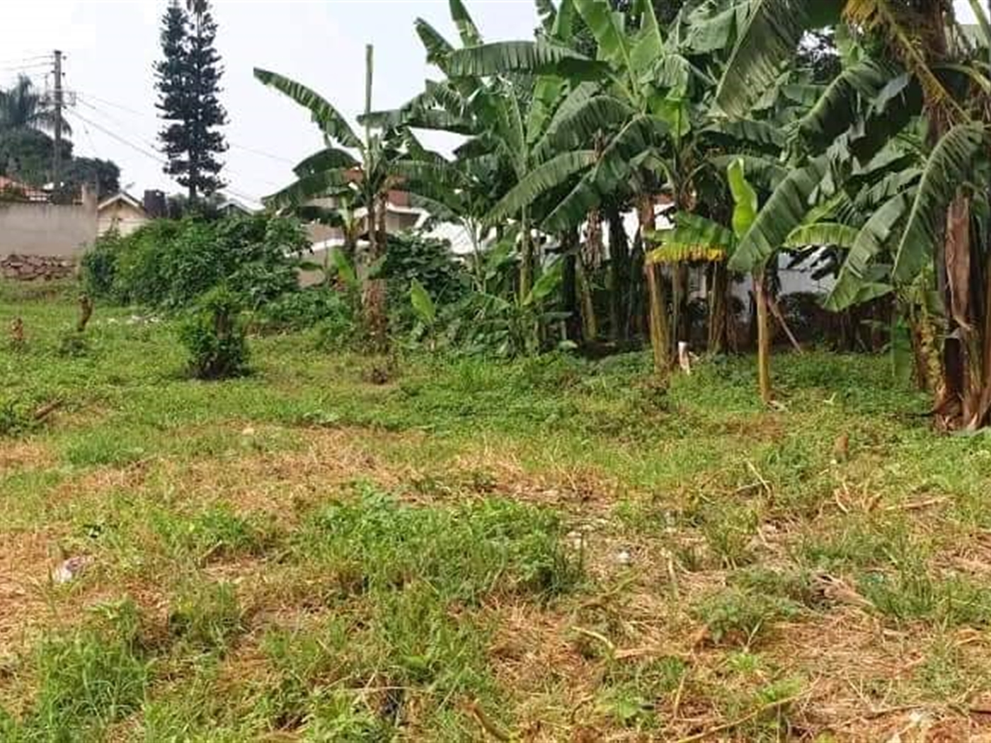 Commercial Land for sale in Ntinda Kampala