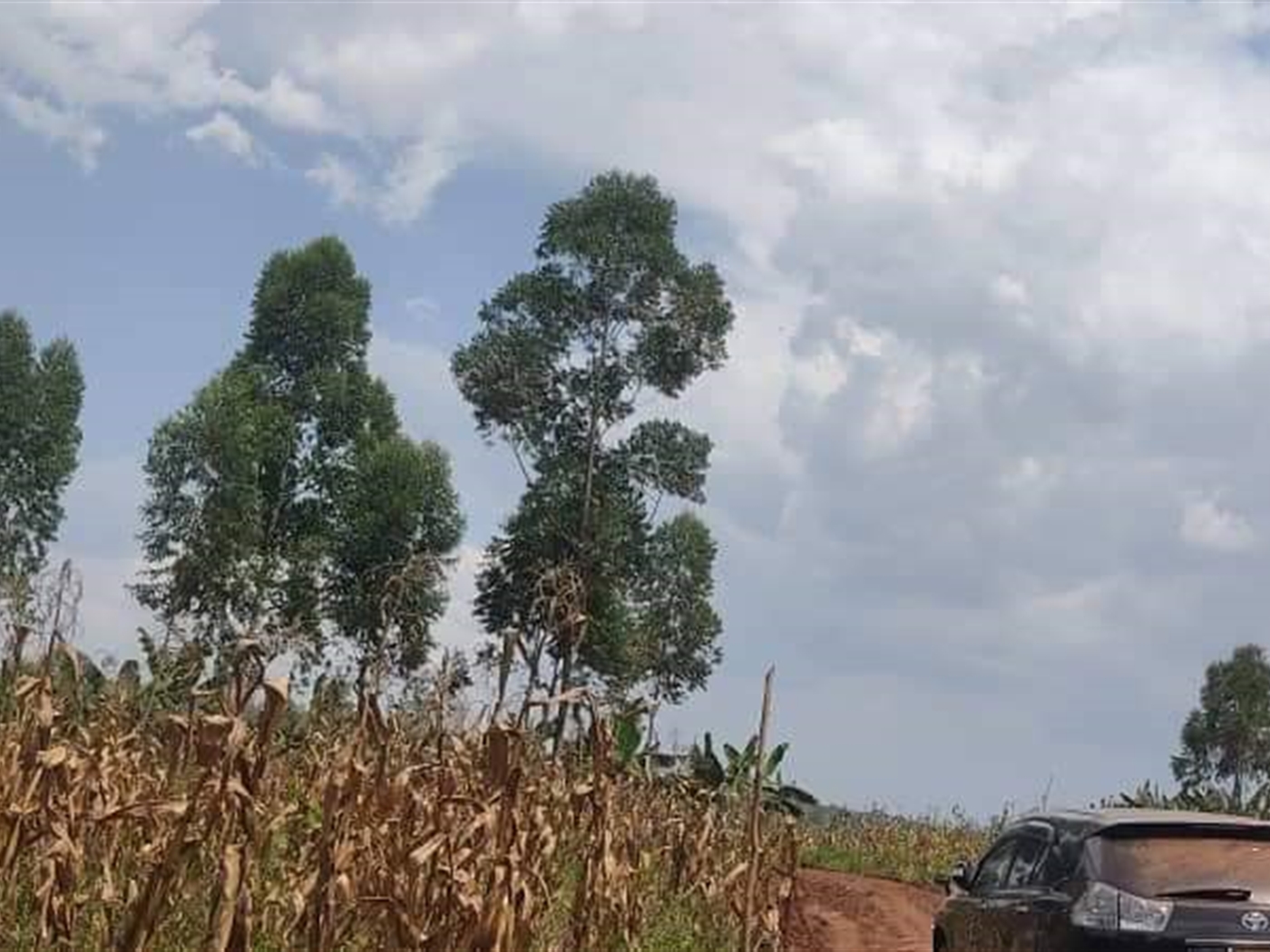 Residential Land for sale in Gayaza Wakiso