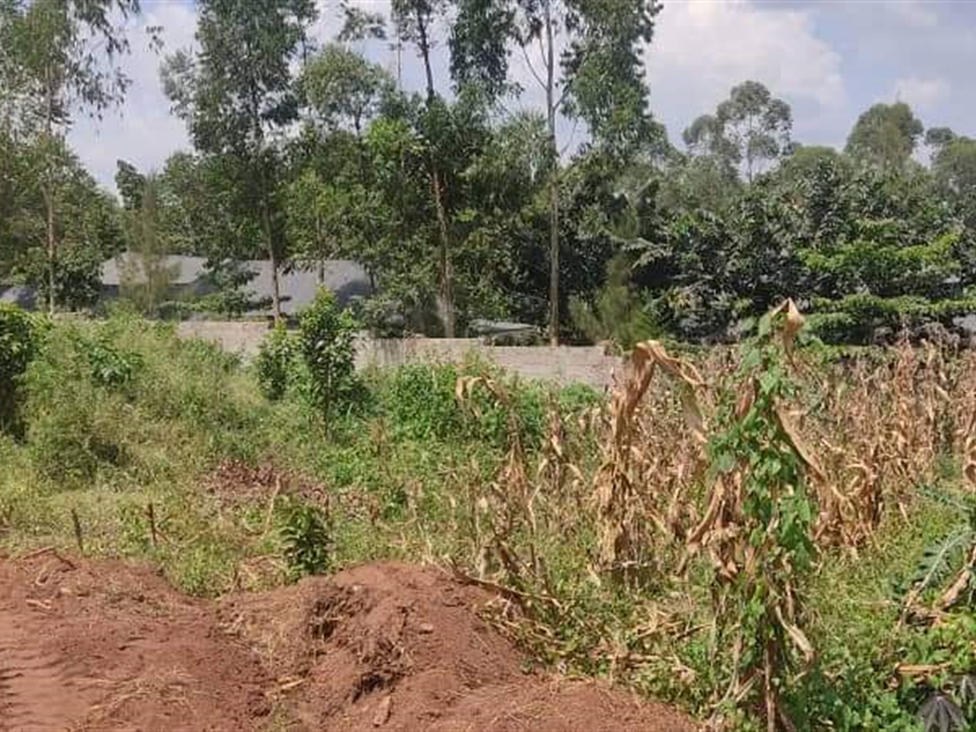 Residential Land for sale in Gayaza Wakiso