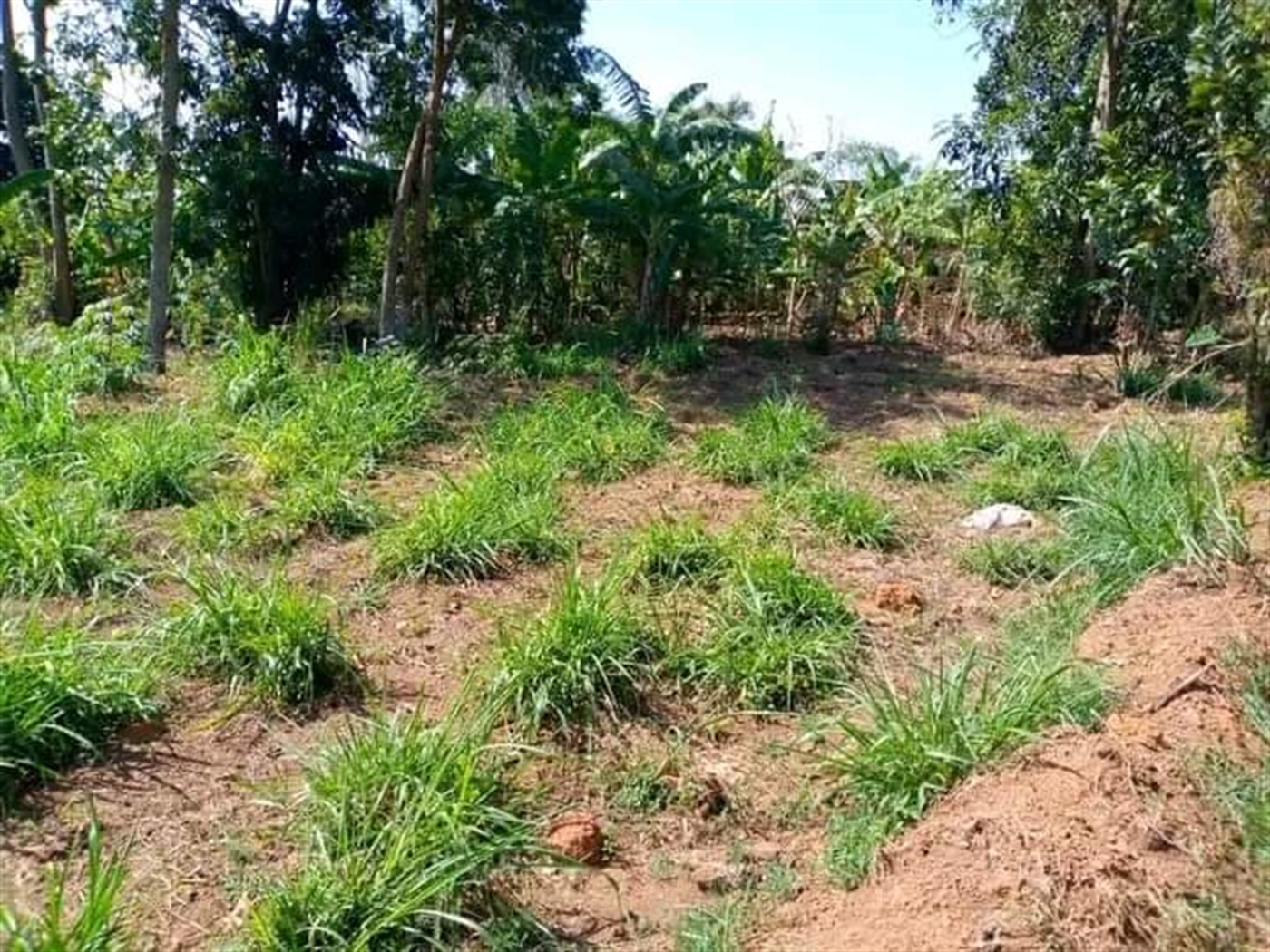 Residential Land for sale in Namugongo Wakiso