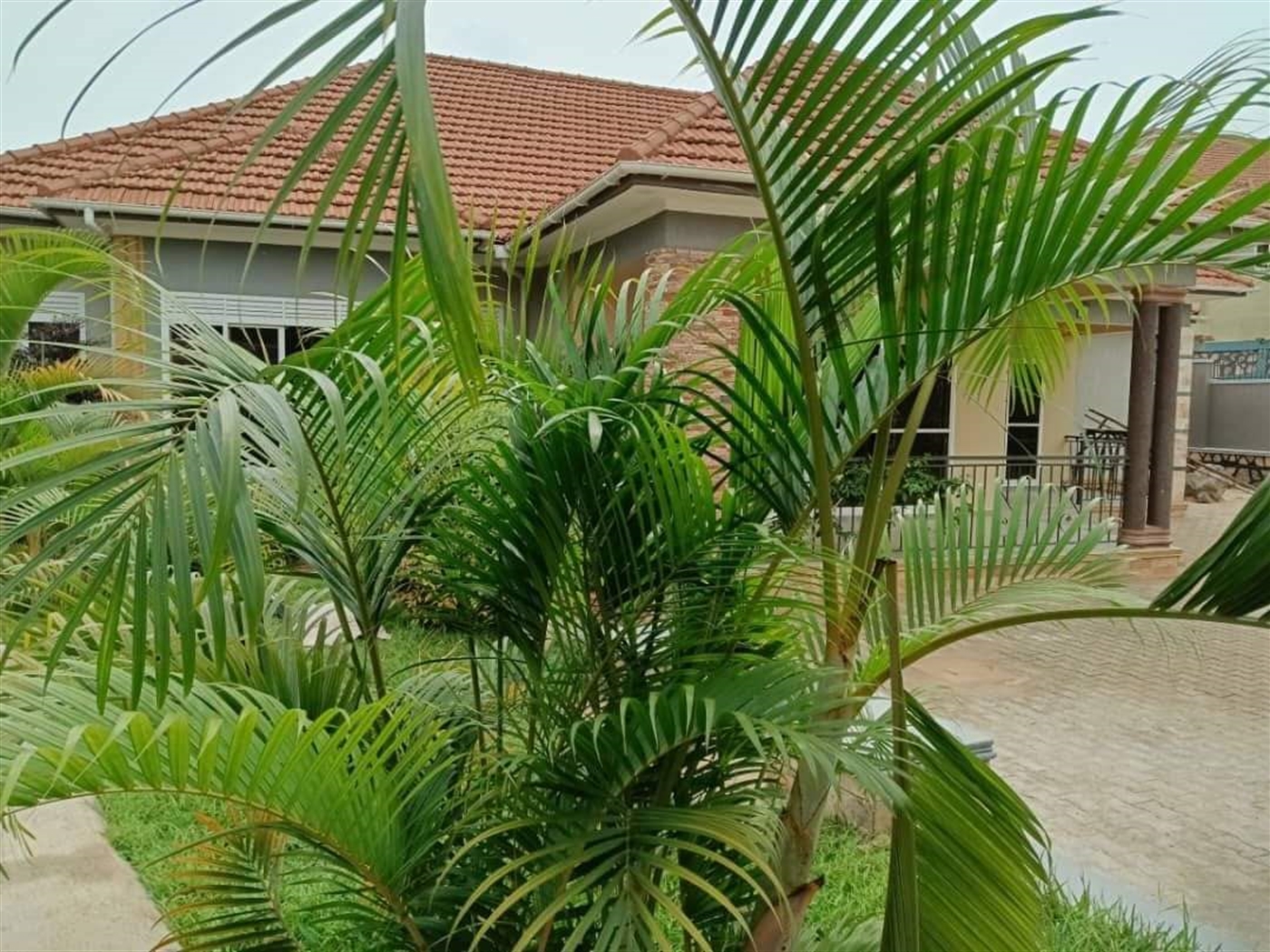 Bungalow for sale in Bwebajja Wakiso