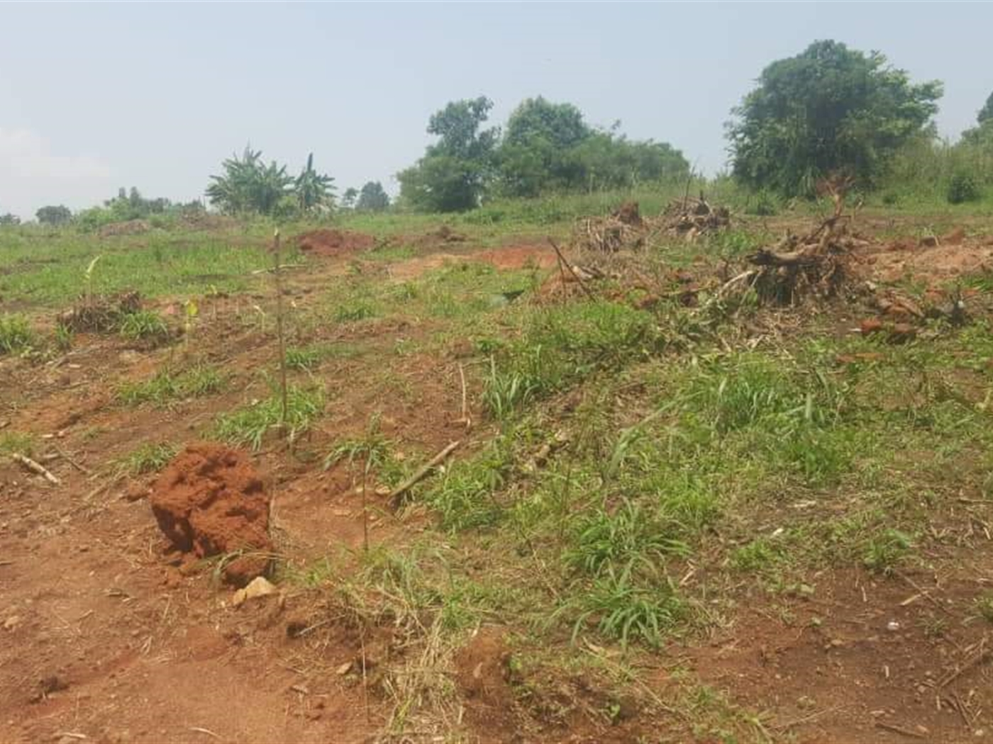 Residential Land for sale in Gayaza Wakiso