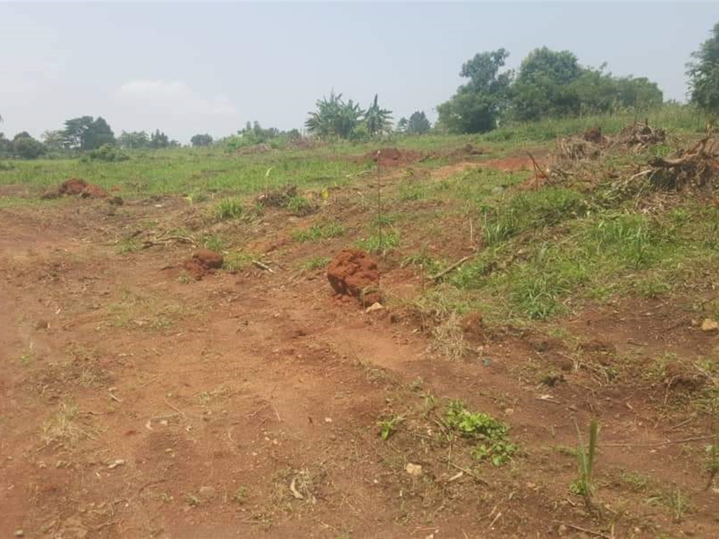 Residential Land for sale in Gayaza Wakiso