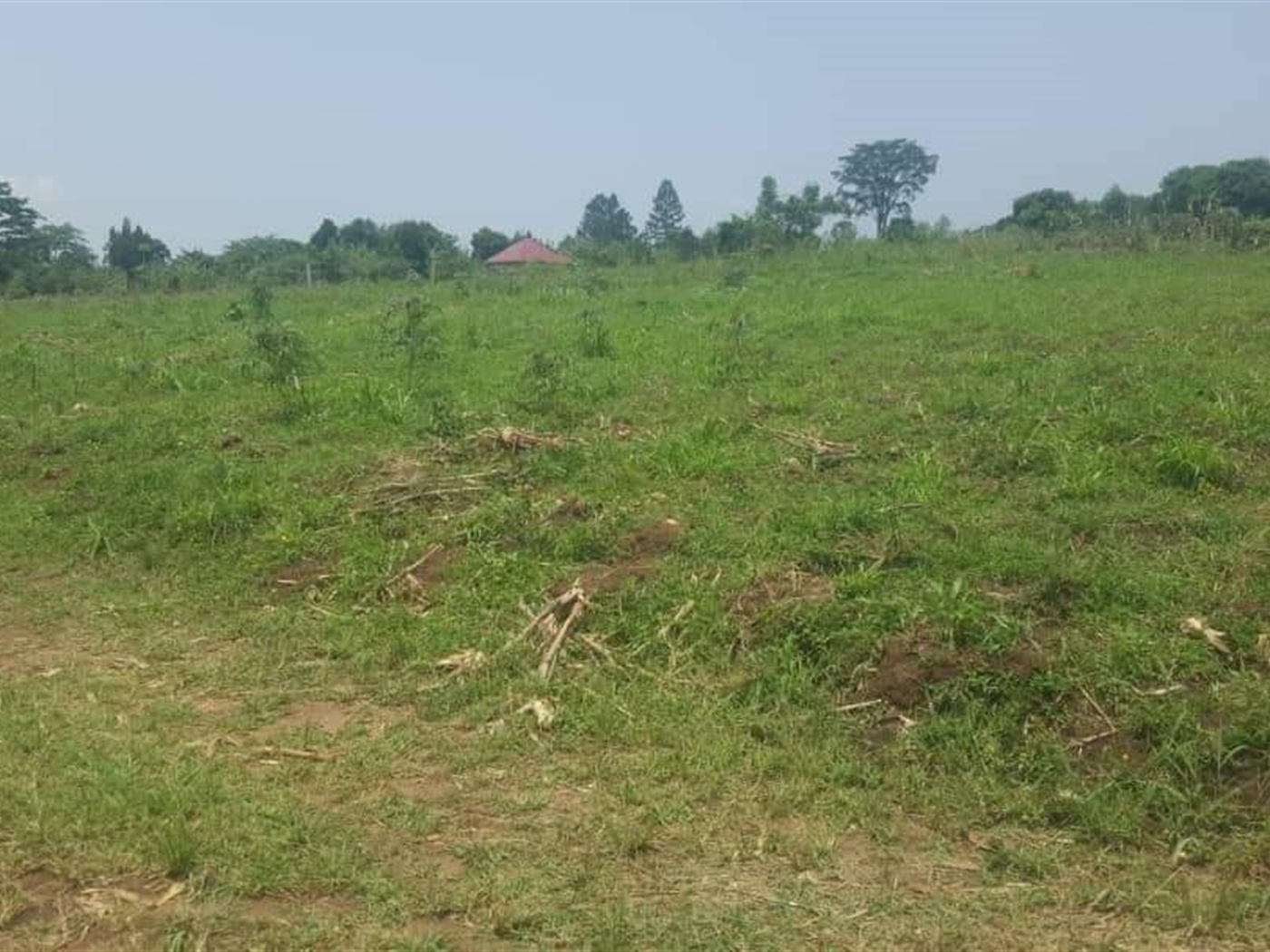 Residential Land for sale in Gayaza Wakiso