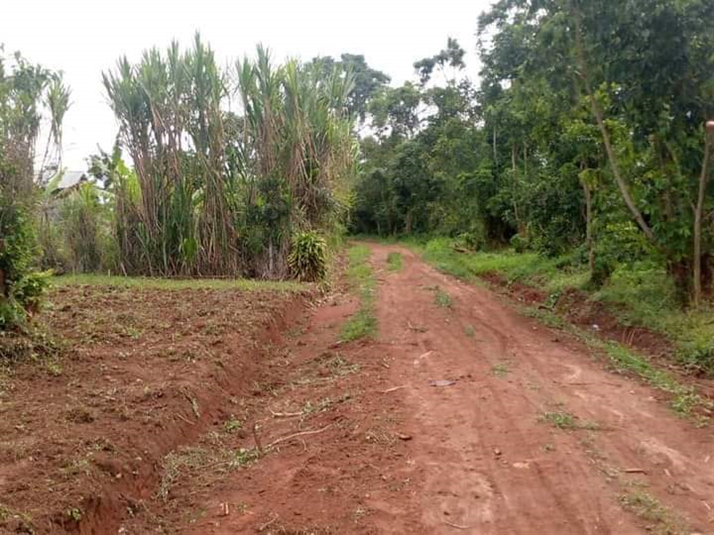 Residential Land for sale in Matugga Wakiso