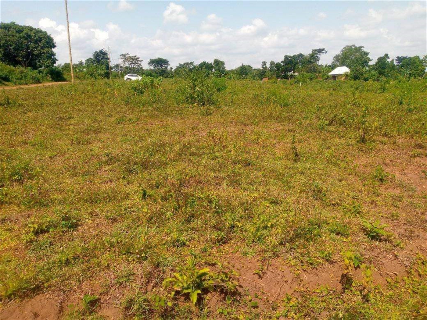 Residential Land for sale in Namma Mukono