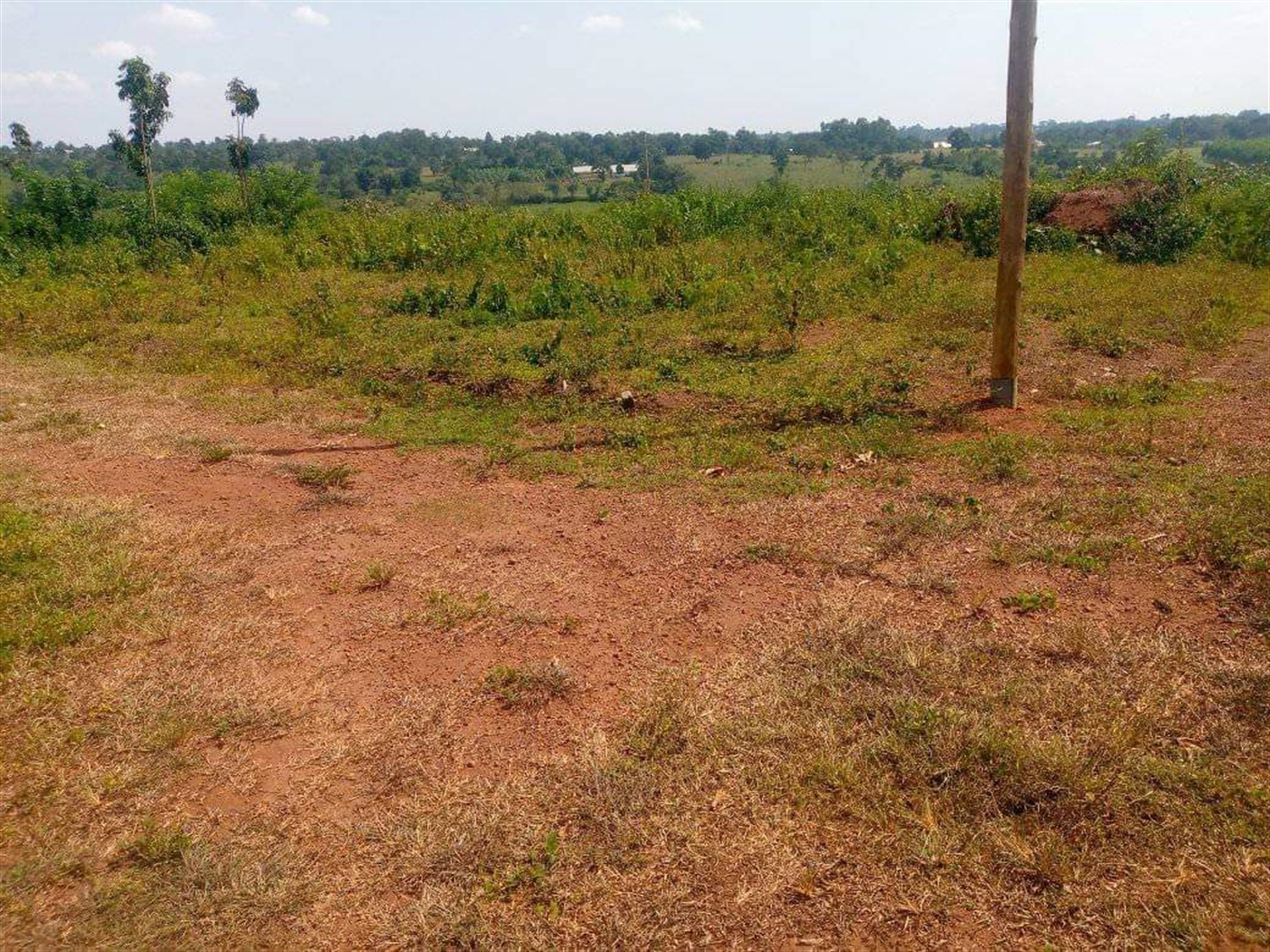 Residential Land for sale in Namma Mukono