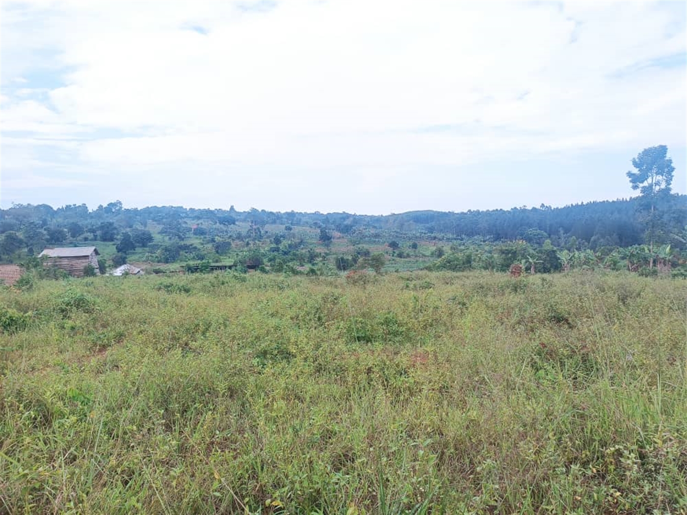 Residential Land for sale in Namugongo Wakiso