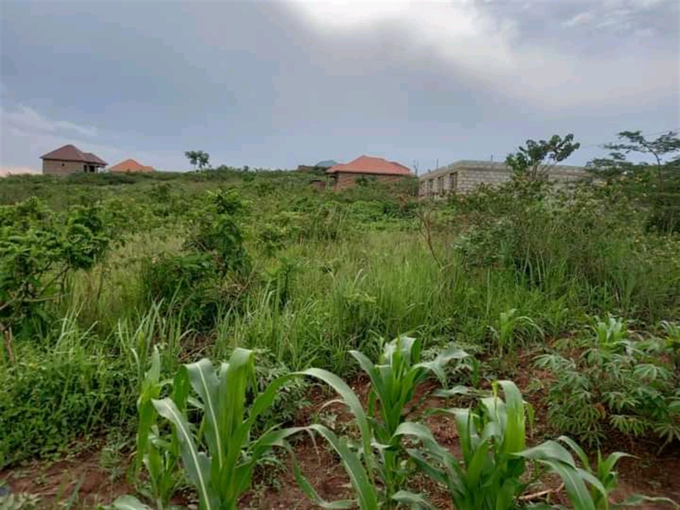 Residential Land for sale in Nakassaja Wakiso