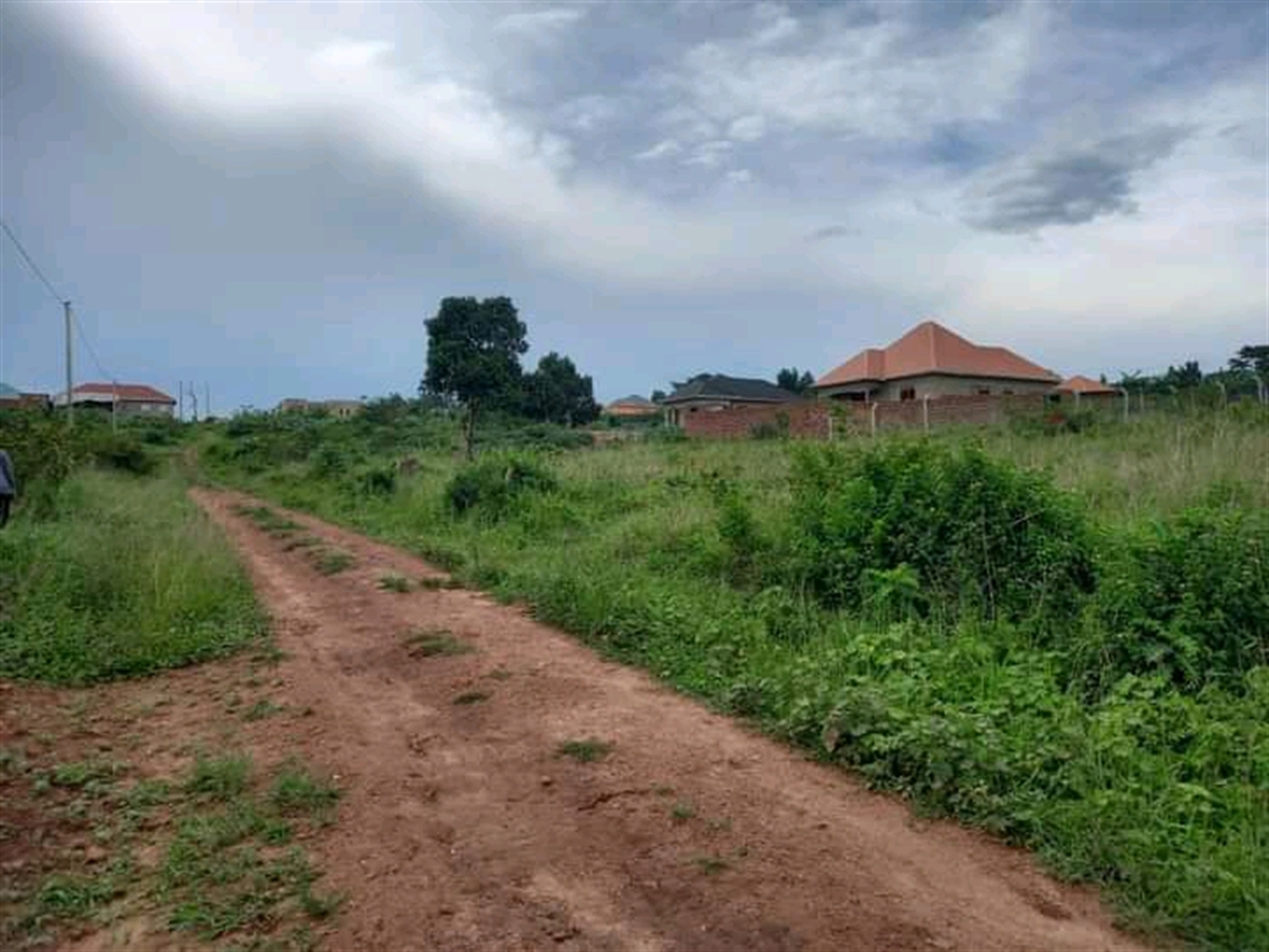 Residential Land for sale in Nakassaja Wakiso