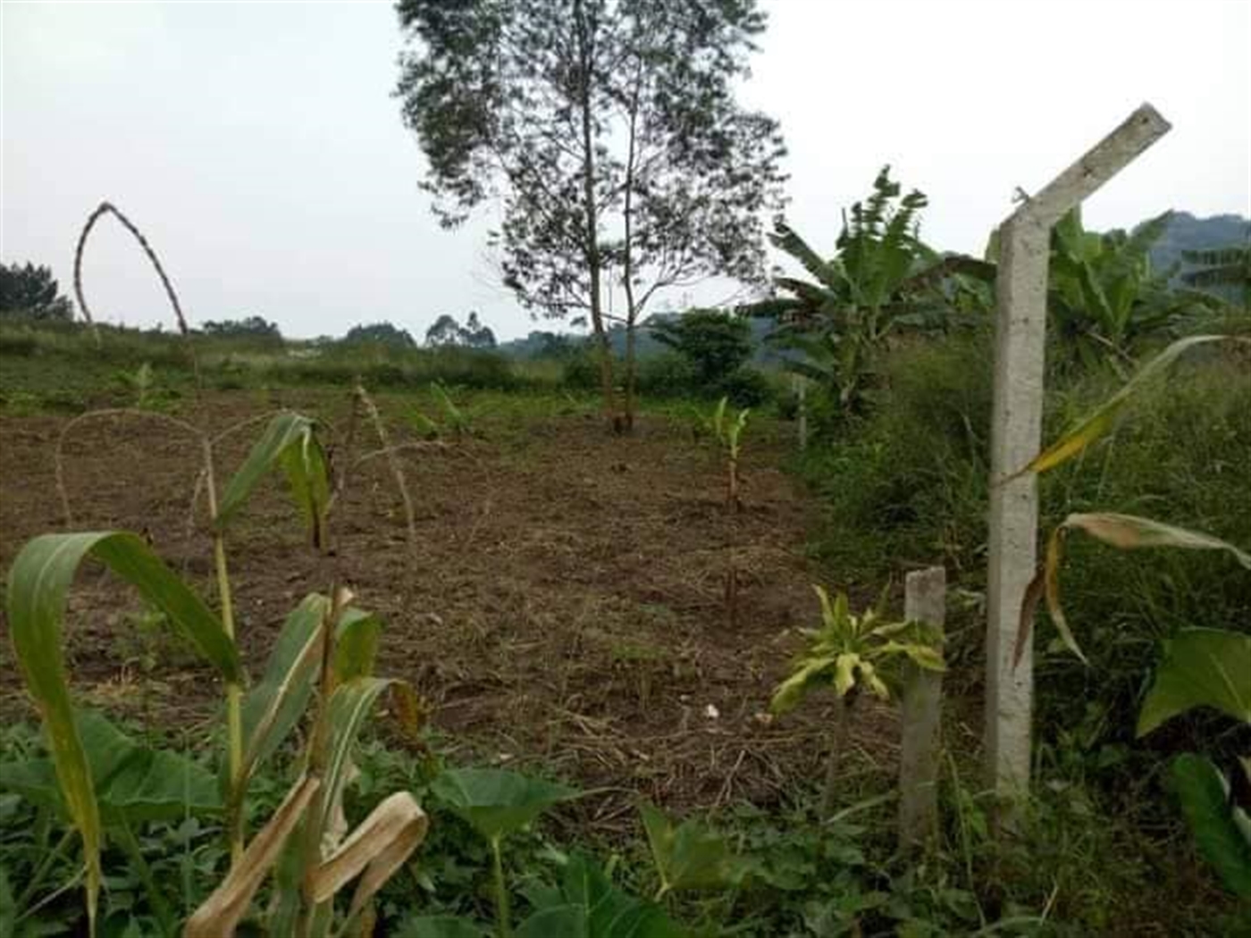 Residential Land for sale in Seeta Mukono