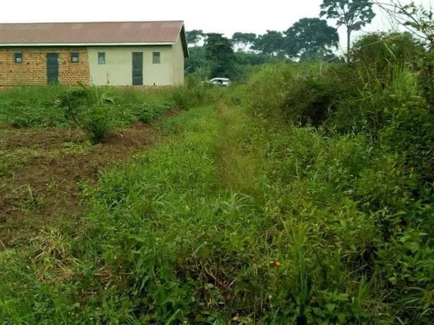 Residential Land for sale in Seeta Mukono