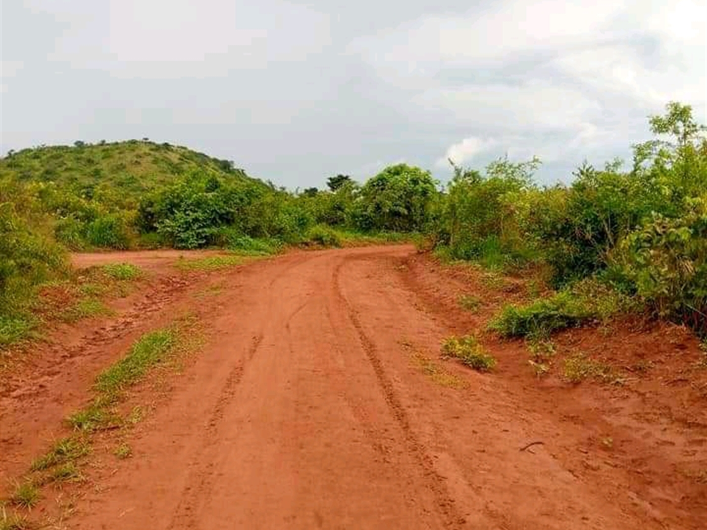 Multipurpose Land for sale in Busukuma Wakiso