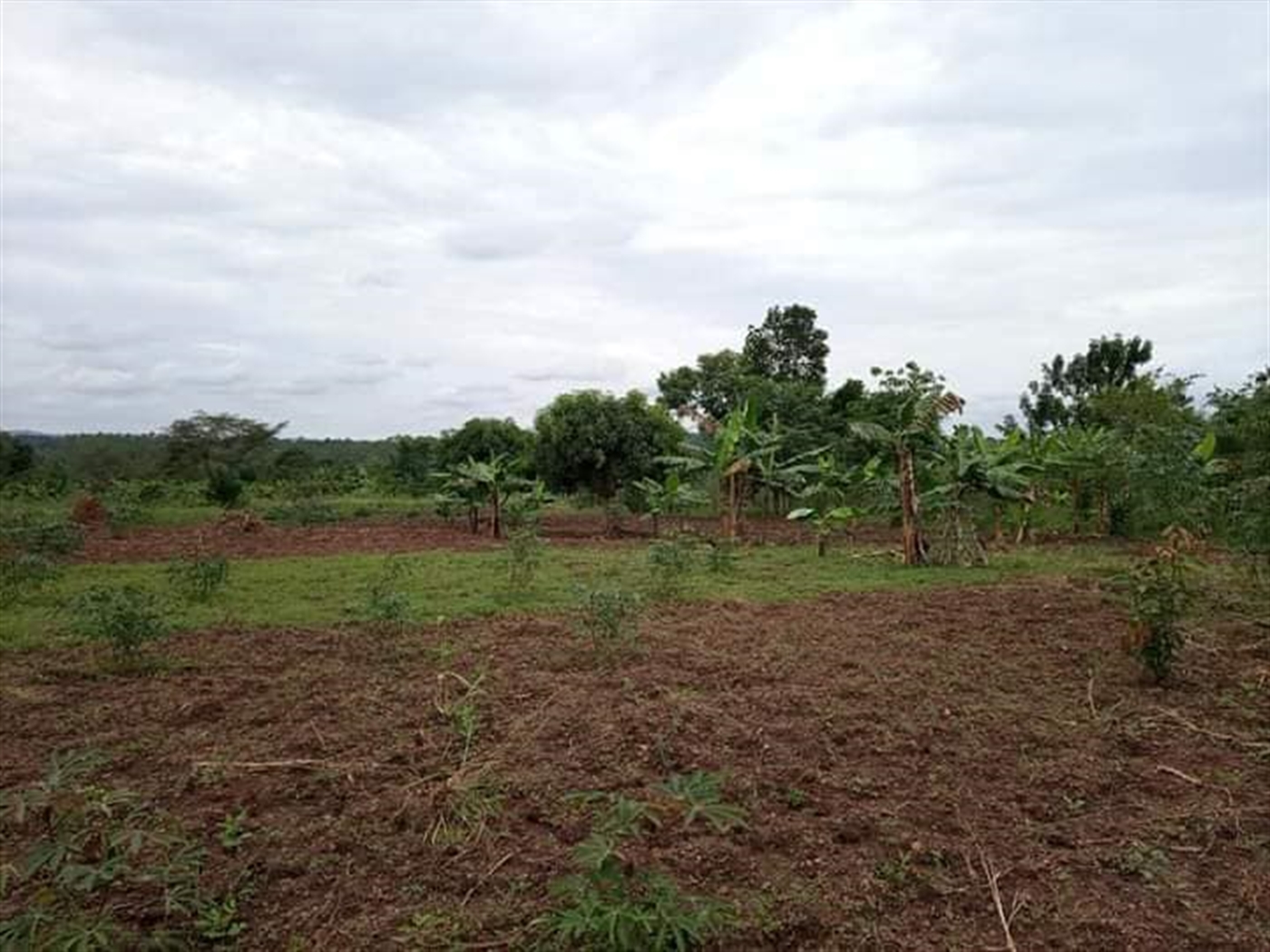 Residential Land for sale in Nakasajja Wakiso