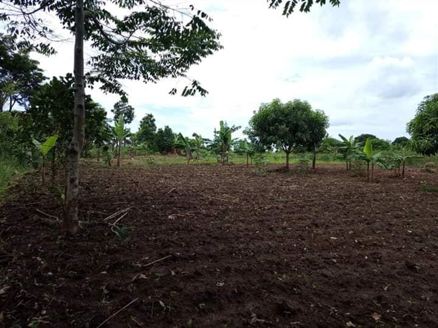 Residential Land for sale in Nakasajja Wakiso