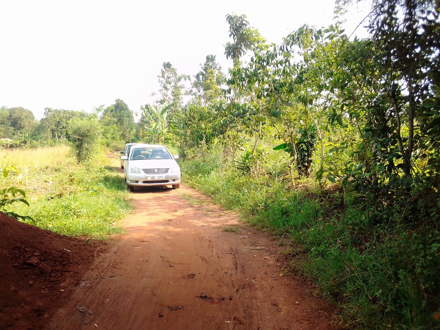 Multipurpose Land for sale in Busiika Wakiso