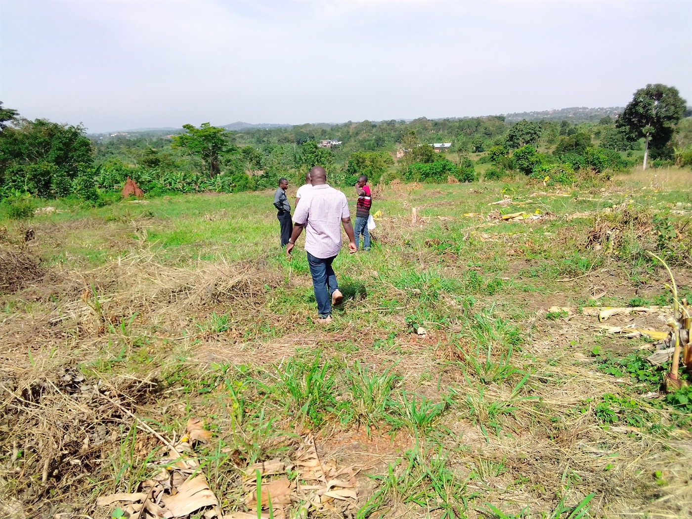 Multipurpose Land for sale in Busiika Wakiso