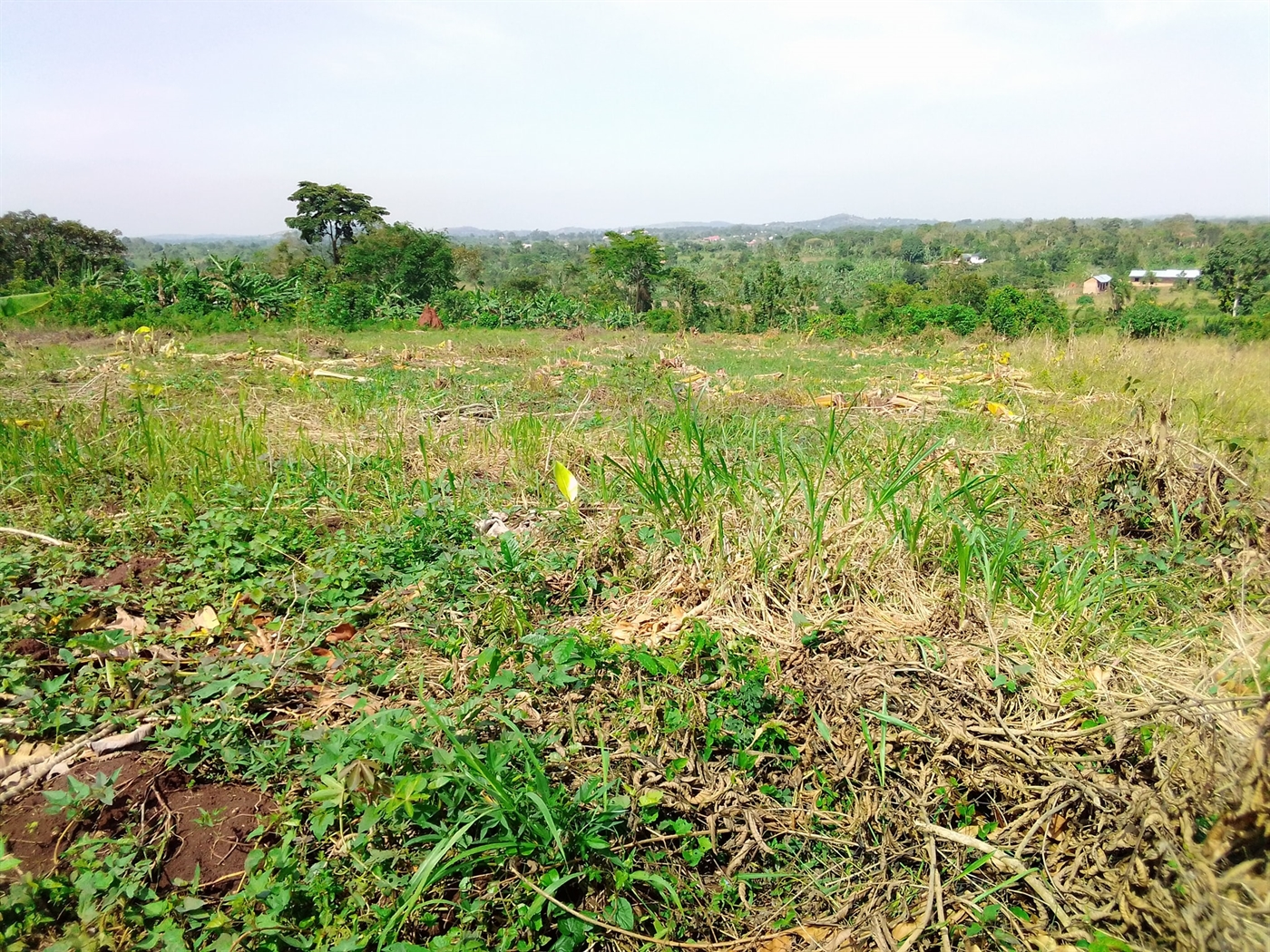 Multipurpose Land for sale in Busiika Wakiso