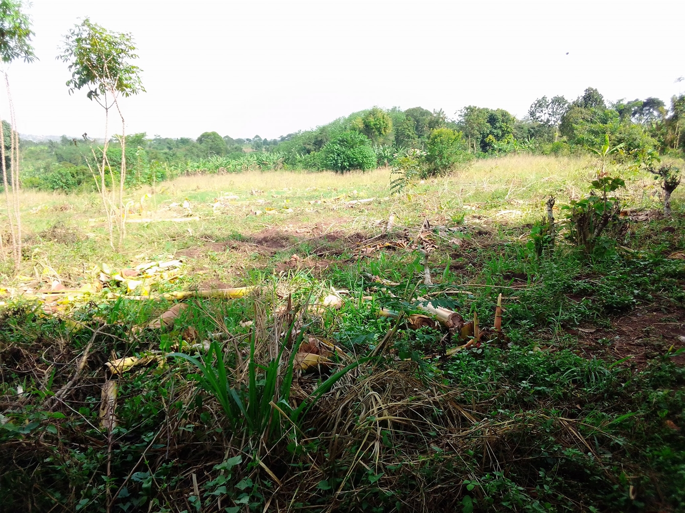 Multipurpose Land for sale in Busiika Wakiso