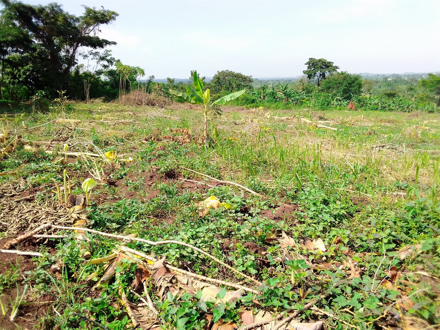 Multipurpose Land for sale in Busiika Wakiso