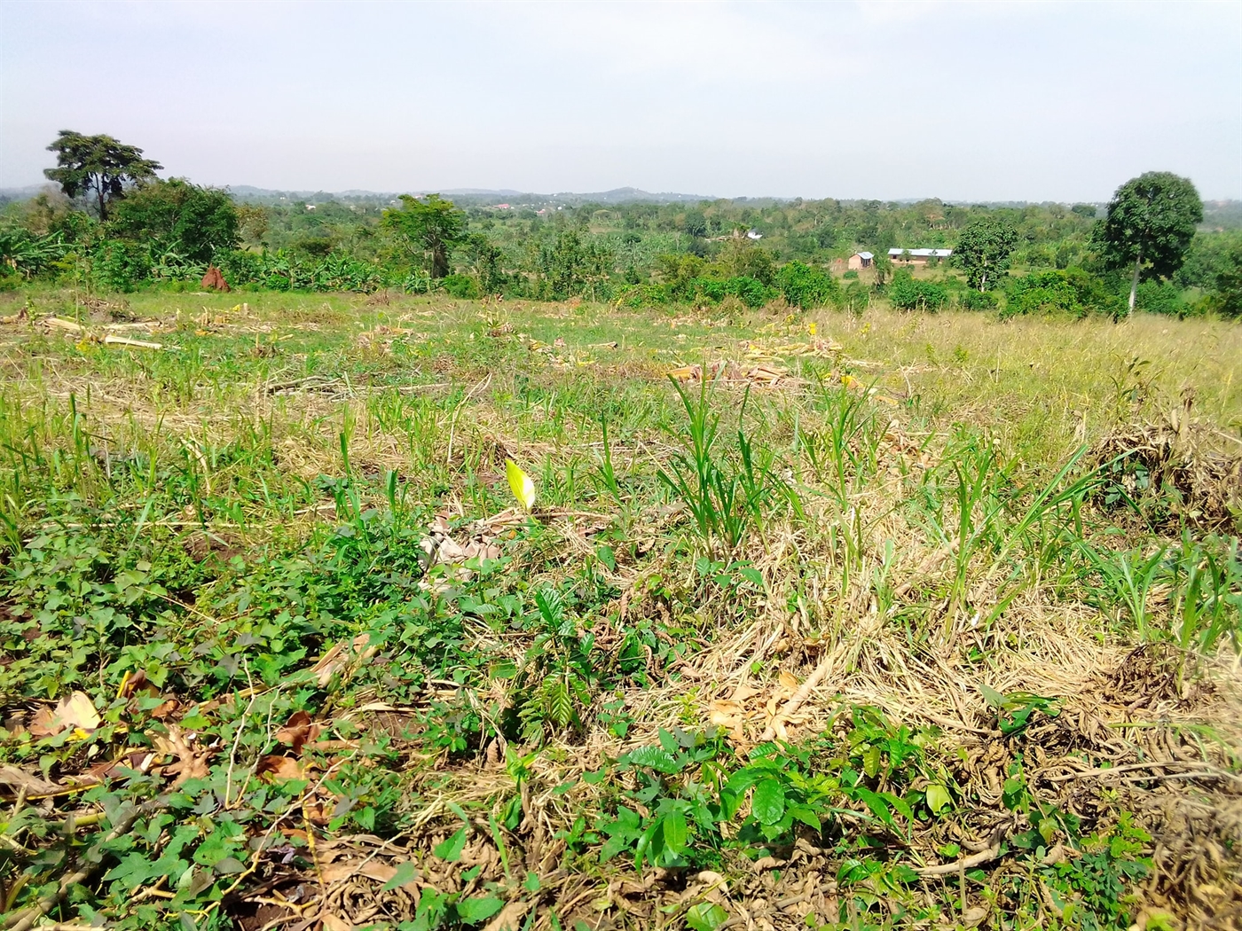 Multipurpose Land for sale in Busiika Wakiso