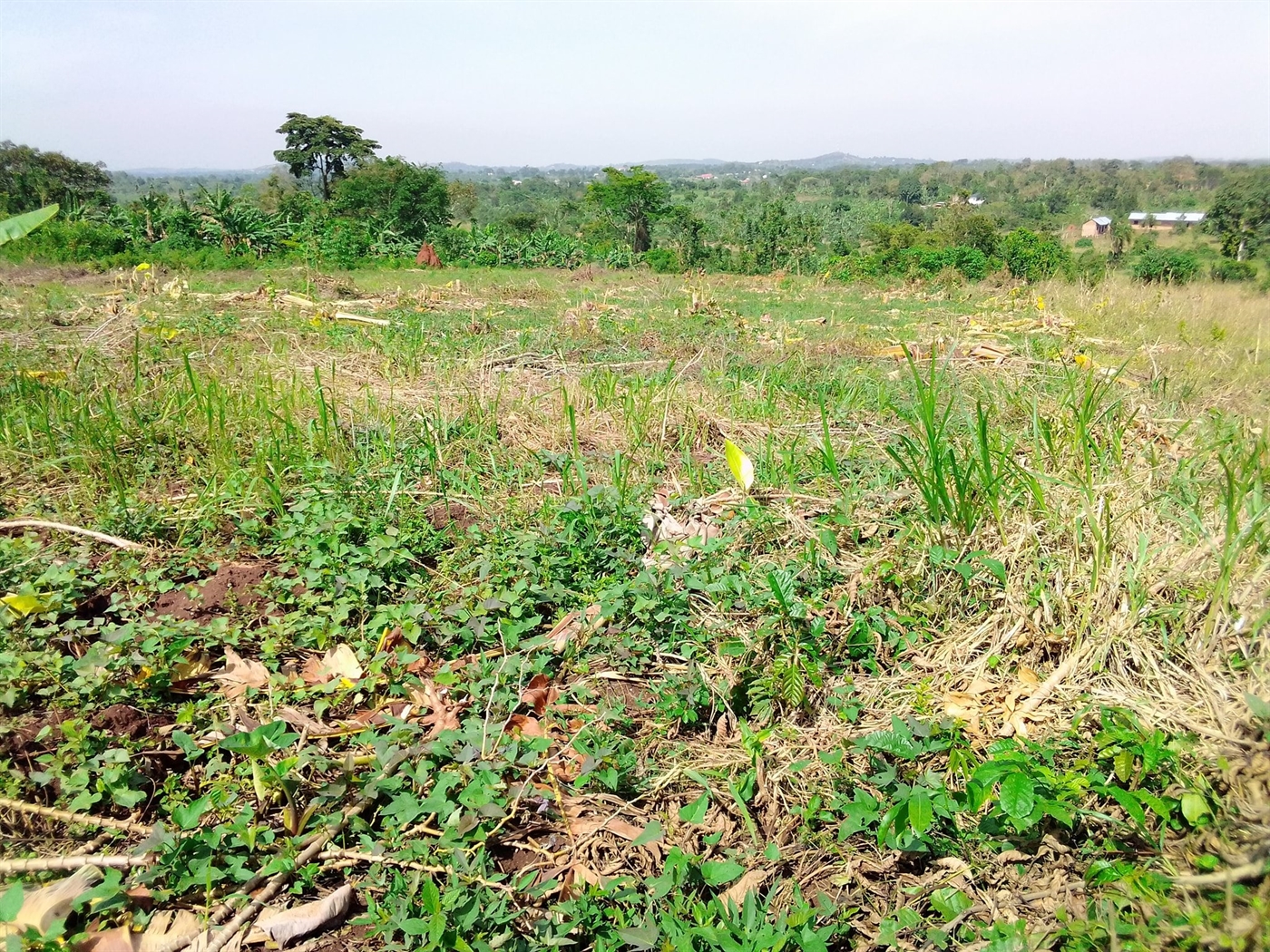 Multipurpose Land for sale in Busiika Wakiso