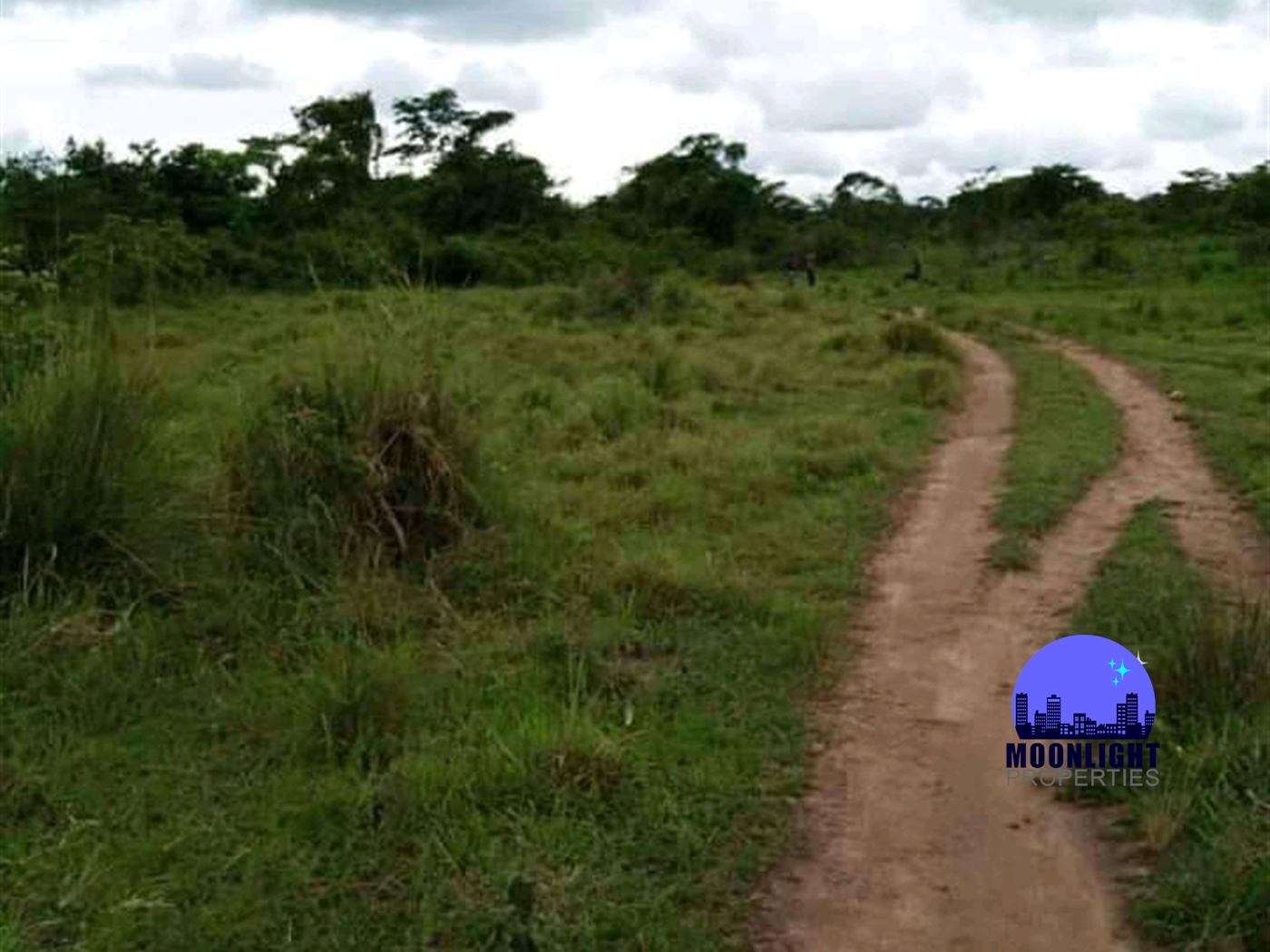 Agricultural Land for sale in Mazi Luwero