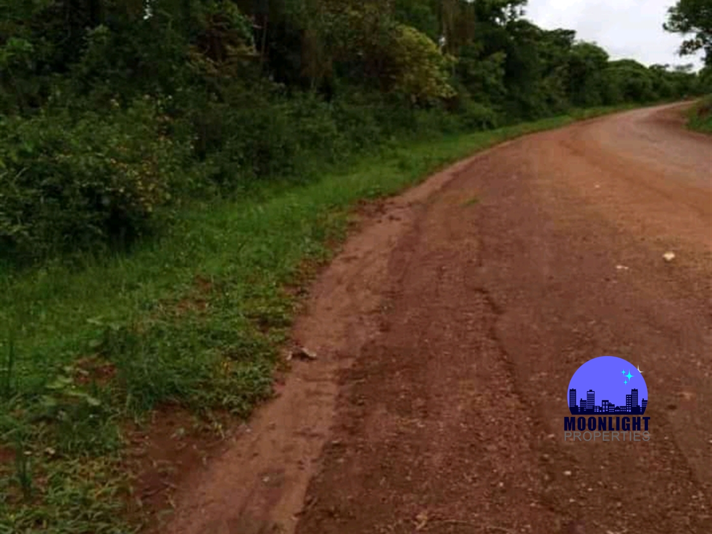 Agricultural Land for sale in Mazzi Luweero