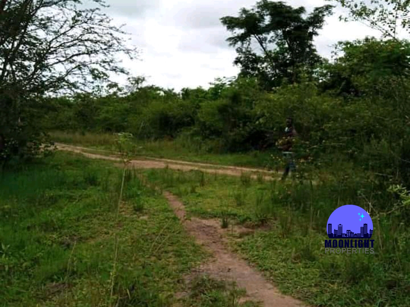 Agricultural Land for sale in Mazi Luwero