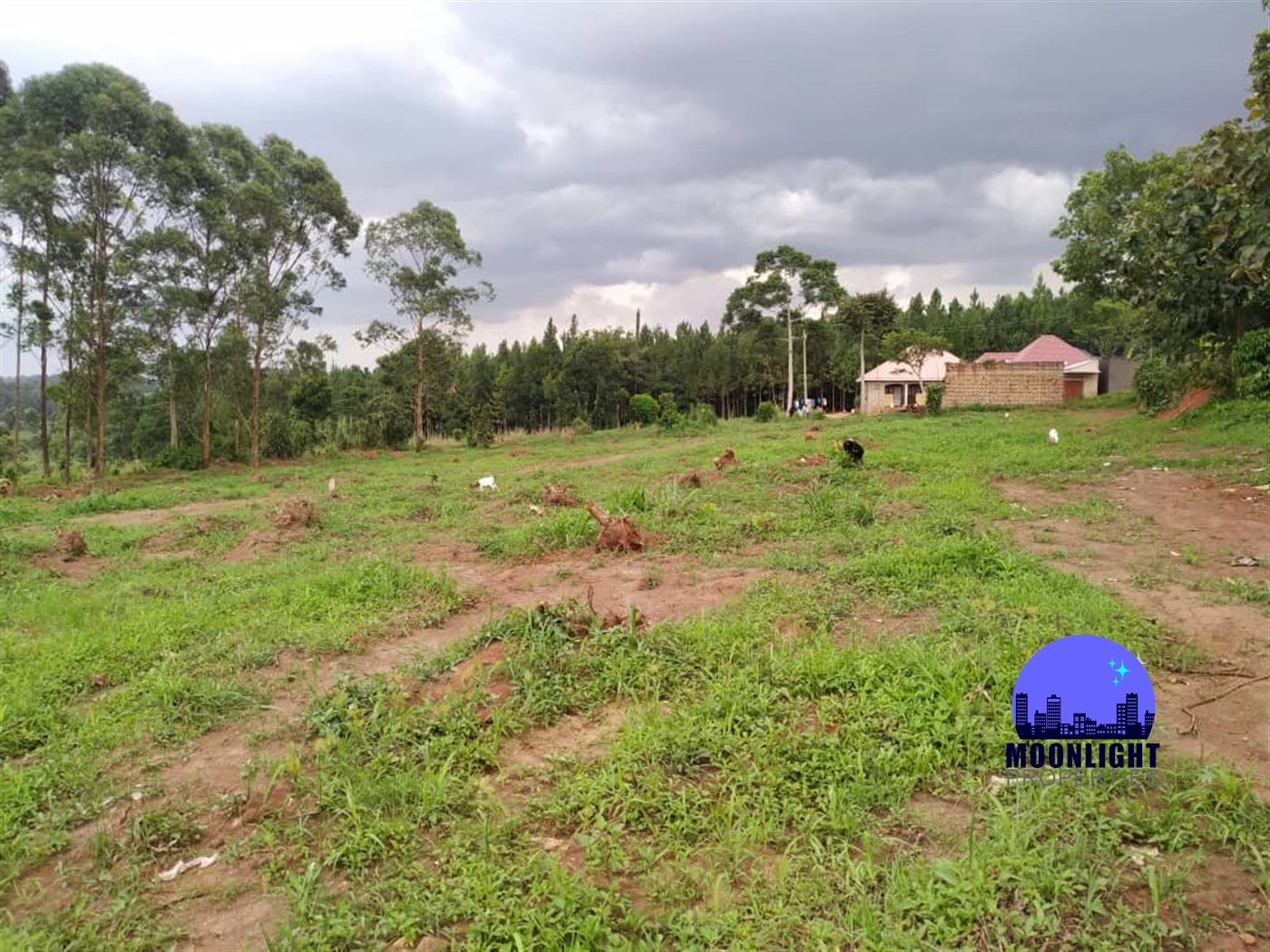 Residential Land for sale in Kira Wakiso