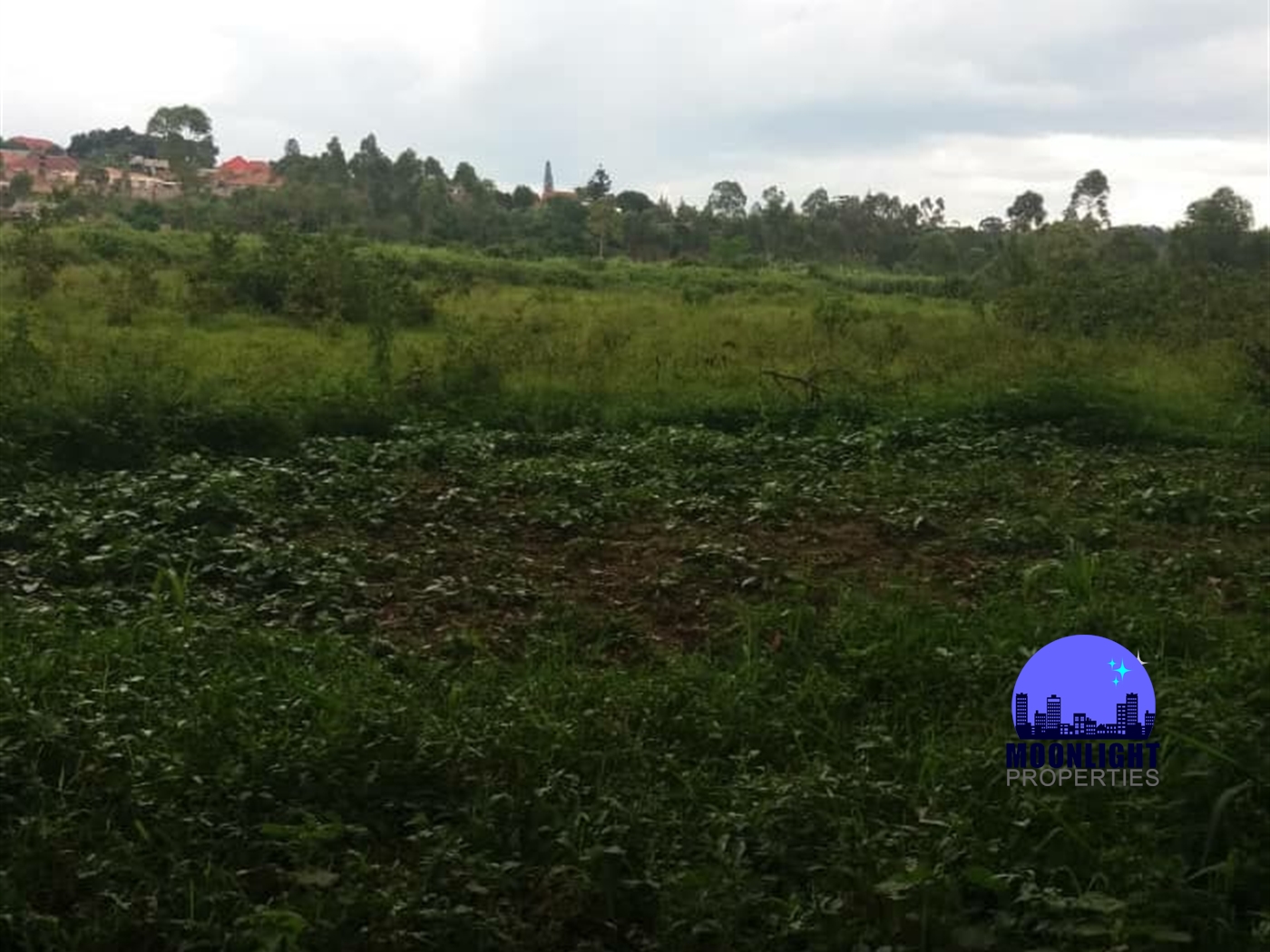 Industrial Land for sale in Namanve Mukono