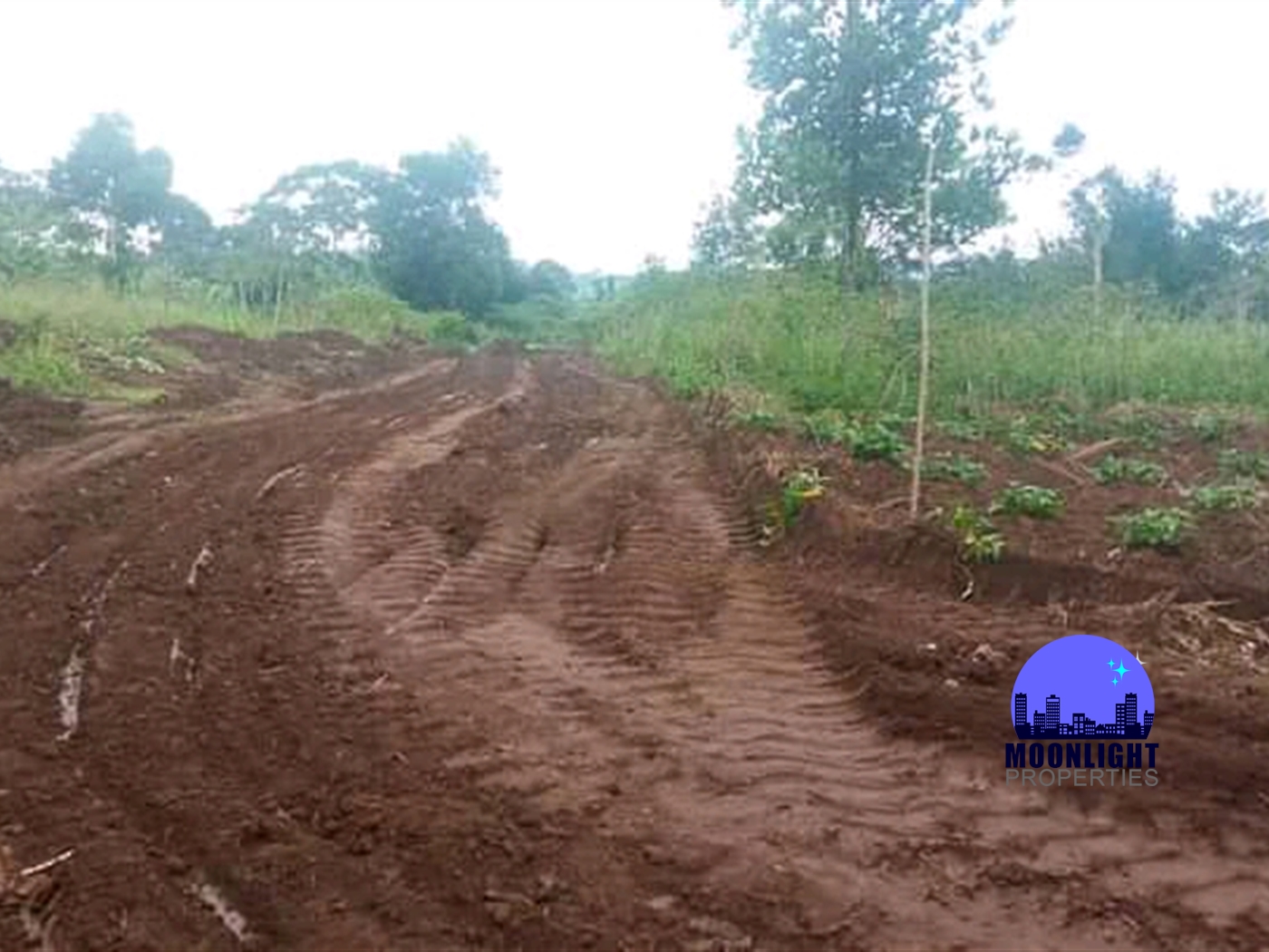 Residential Land for sale in Bajjo Mukono