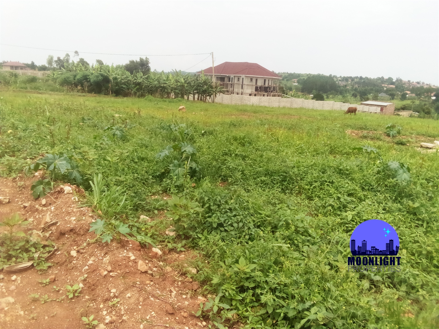 Residential Land for sale in Nabusugwe Mukono