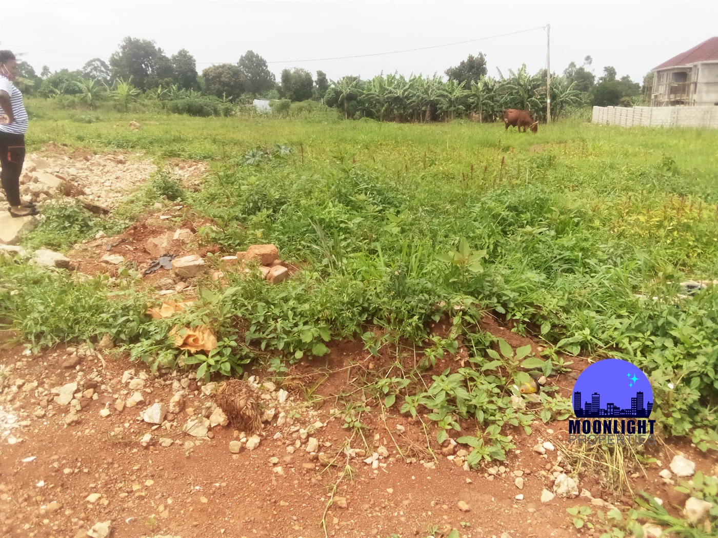 Residential Land for sale in Nabusugwe Mukono