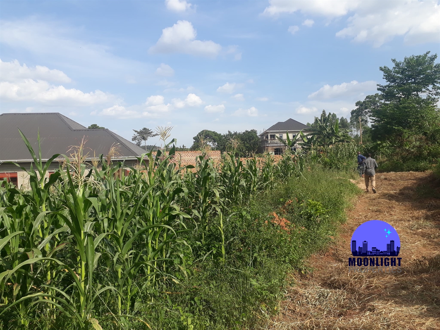 Residential Land for sale in Nabusugwe Mukono