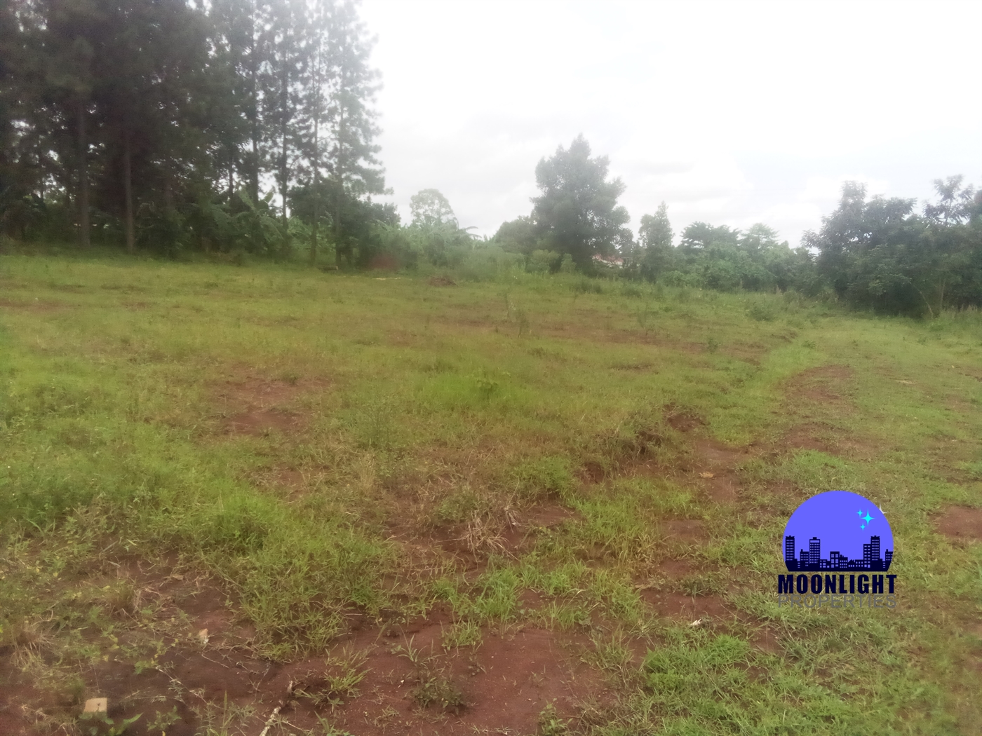 Residential Land for sale in Nabusugwe Mukono