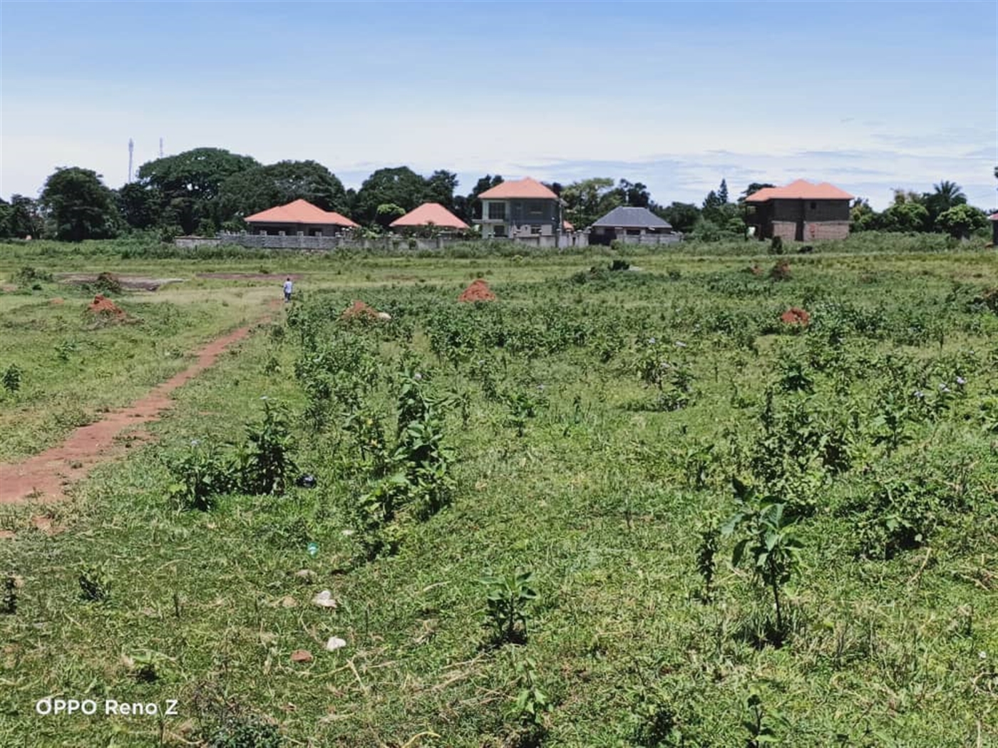 Residential Land for sale in Nkumba Wakiso