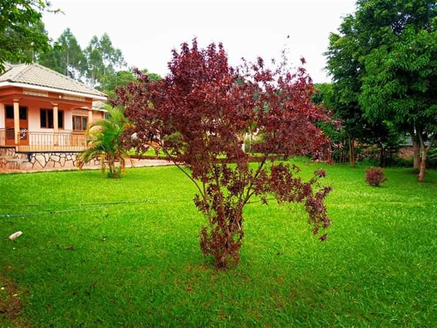 Bungalow for sale in Gayaza Wakiso