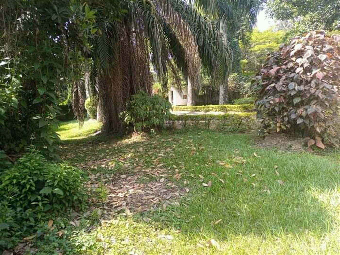 Bungalow for sale in Kololo Kampala