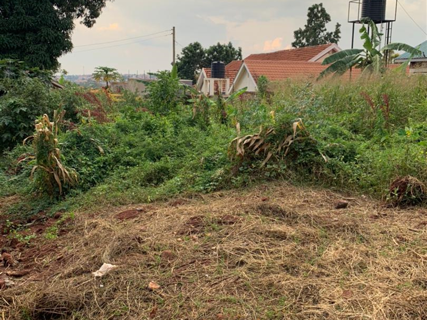 Residential Land for sale in Ntinda Kampala