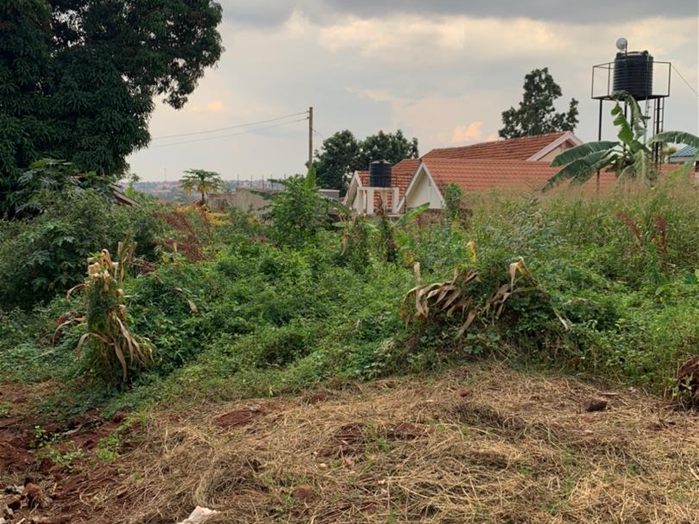 Residential Land for sale in Ntinda Kampala